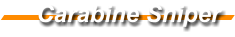 Carabine Sniper