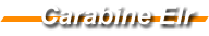 Carabine Elr