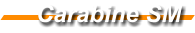 Carabine SM