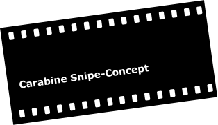 Carabine Snipe-Concept